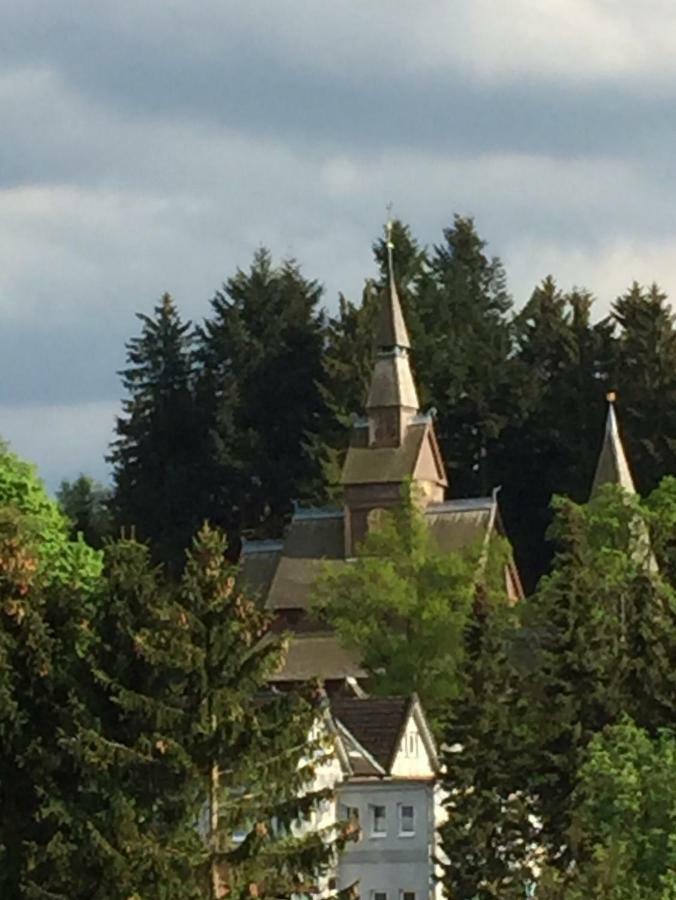 Seesicht Appartements Am Kranichsee Goslar Eksteriør bilde