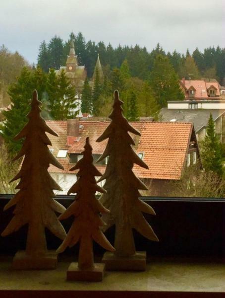 Seesicht Appartements Am Kranichsee Goslar Eksteriør bilde