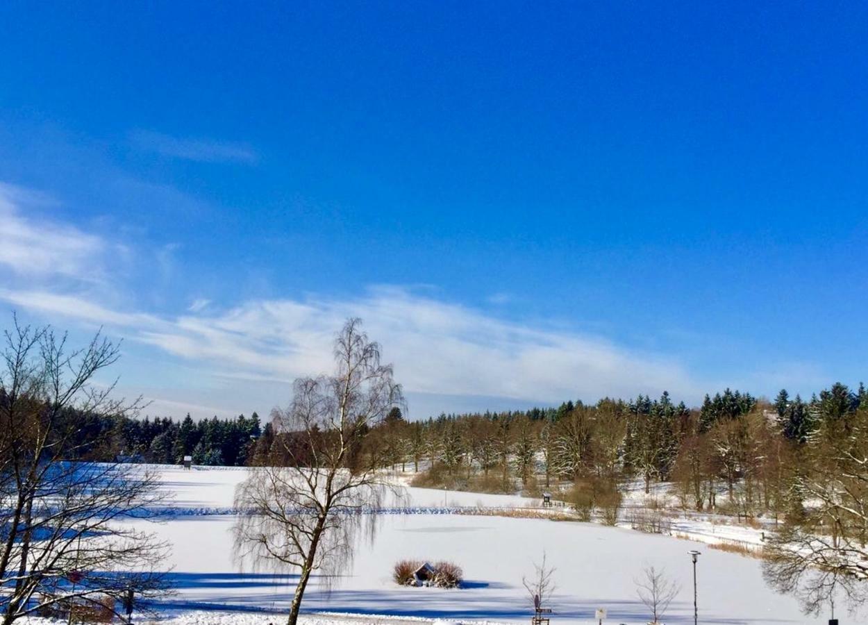 Seesicht Appartements Am Kranichsee Goslar Eksteriør bilde
