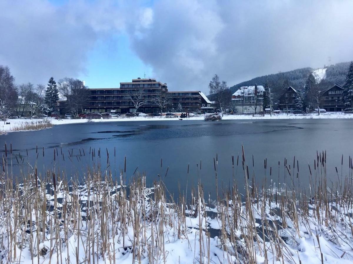 Seesicht Appartements Am Kranichsee Goslar Eksteriør bilde