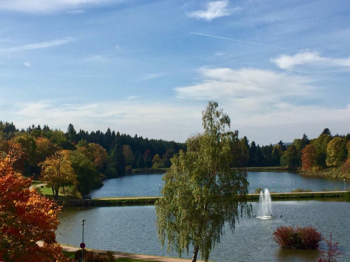 Seesicht Appartements Am Kranichsee Goslar Eksteriør bilde