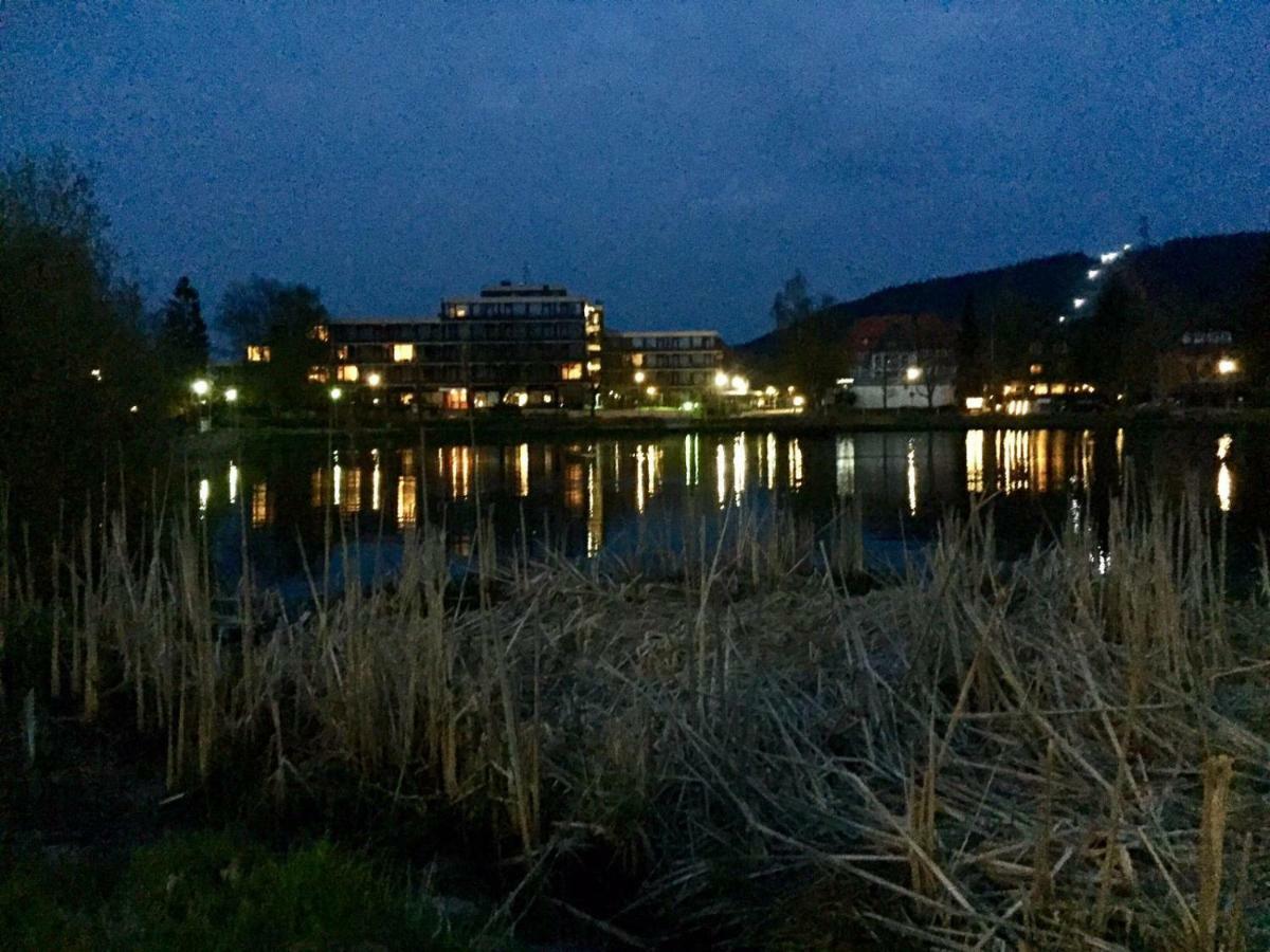Seesicht Appartements Am Kranichsee Goslar Eksteriør bilde